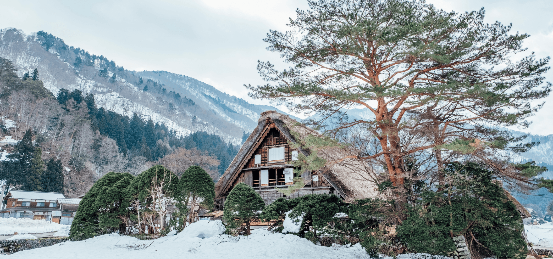 Regent Reserve Point Card Image