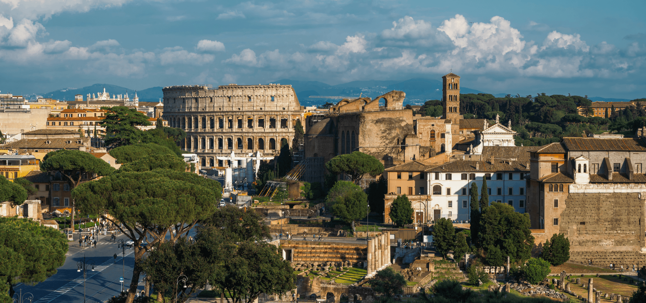 Regent Reserve Point Card Image