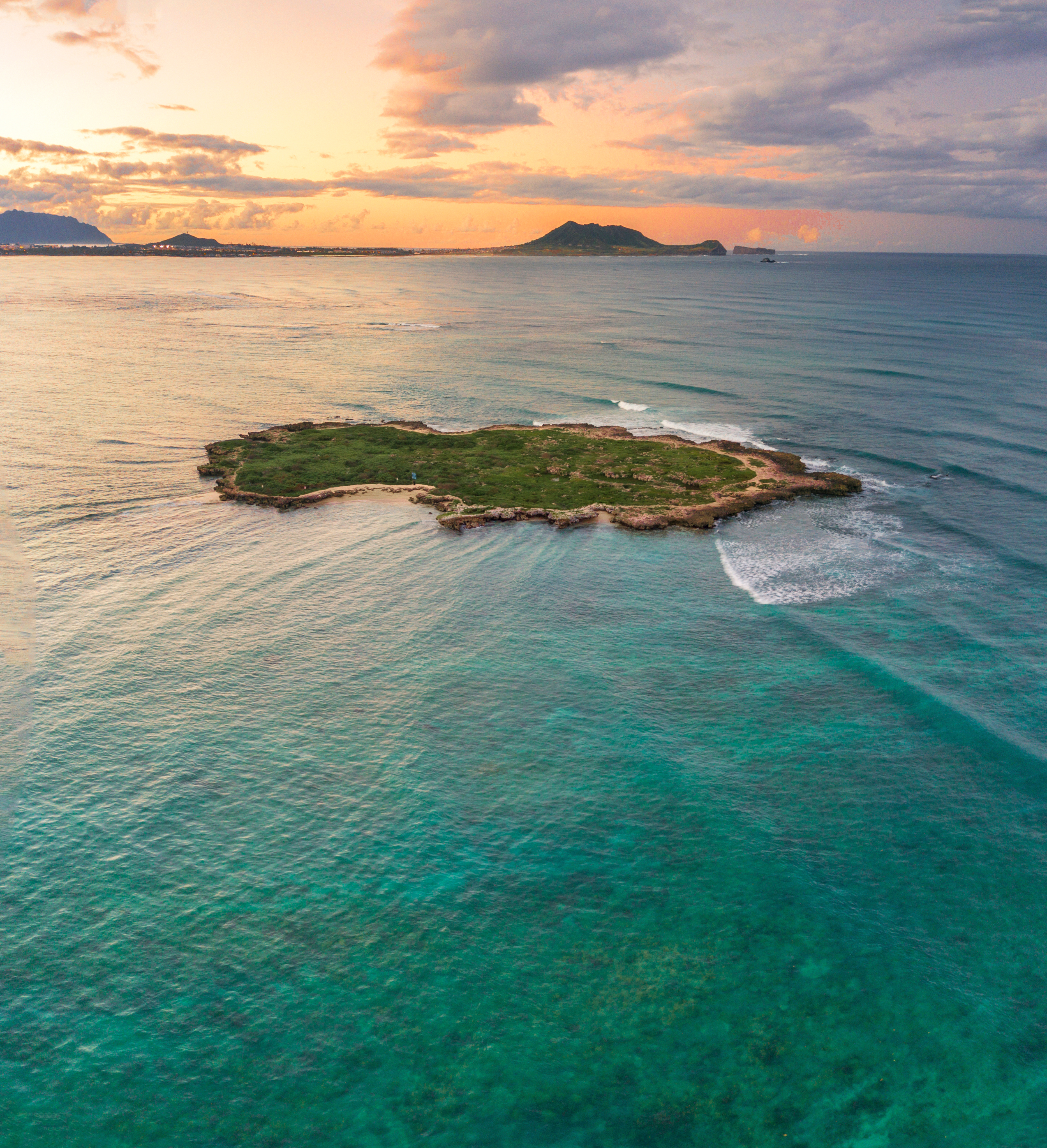 Regent Reserve Offerings Background